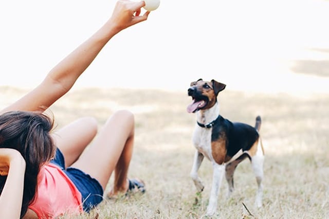 8 Dog Person Stereotypes That Are Totally True